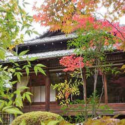 トリップアドバイザー提供