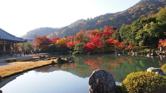 トリップアドバイザー提供