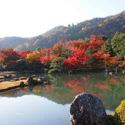 トリップアドバイザー提供