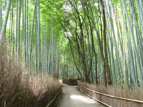 トリップアドバイザー提供