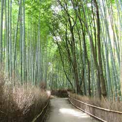 トリップアドバイザー提供