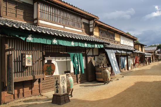 トリップアドバイザー提供