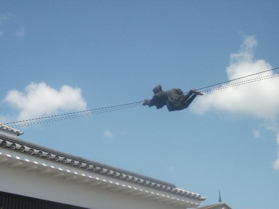 トリップアドバイザー提供