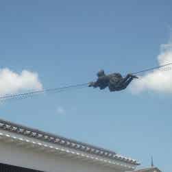 トリップアドバイザー提供