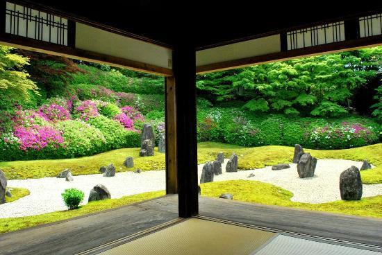 トリップアドバイザー提供