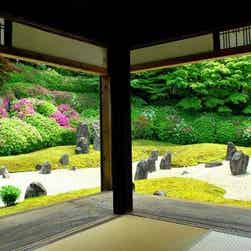 トリップアドバイザー提供