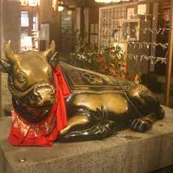 トリップアドバイザー提供