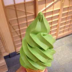 トリップアドバイザー提供