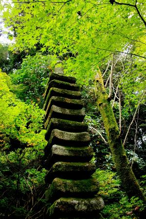 トリップアドバイザー提供