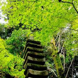 トリップアドバイザー提供