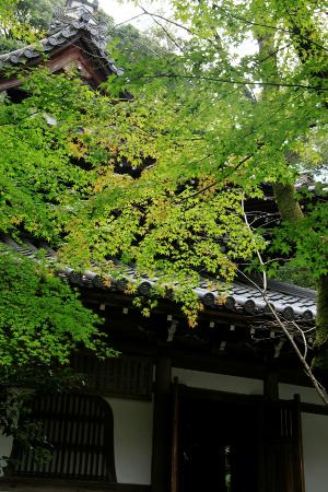 トリップアドバイザー提供