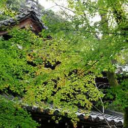 トリップアドバイザー提供