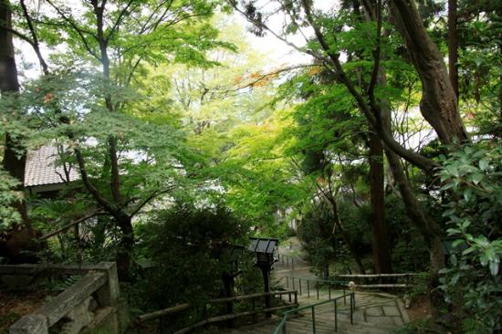 トリップアドバイザー提供