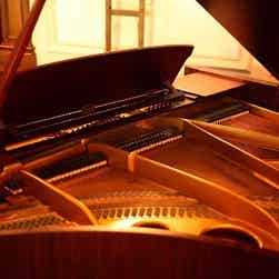 トリップアドバイザー提供