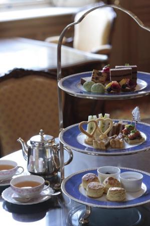 トリップアドバイザー提供