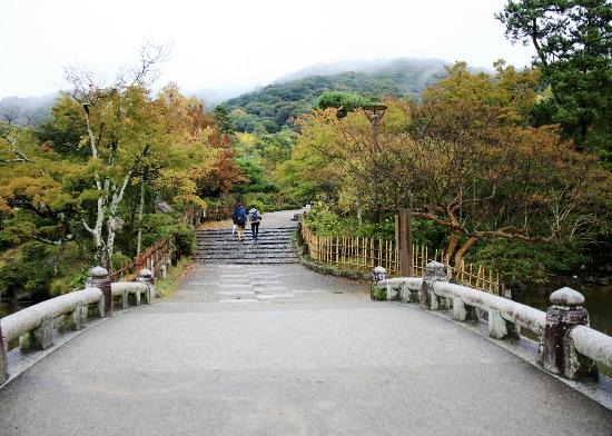 トリップアドバイザー提供