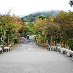 トリップアドバイザー提供