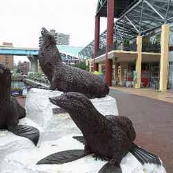 トリップアドバイザー提供