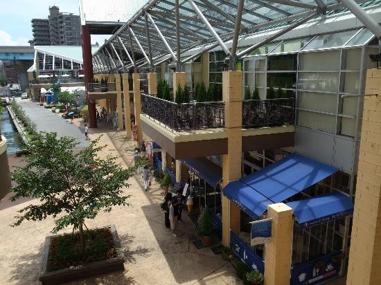 トリップアドバイザー提供