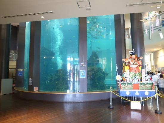 トリップアドバイザー提供