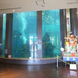 トリップアドバイザー提供