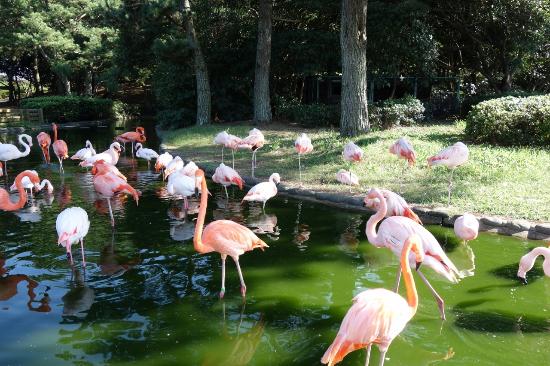 トリップアドバイザー提供