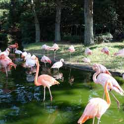 トリップアドバイザー提供