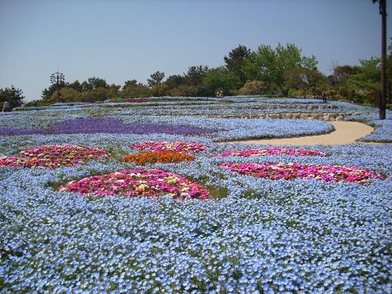 トリップアドバイザー提供