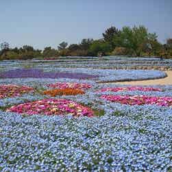 トリップアドバイザー提供