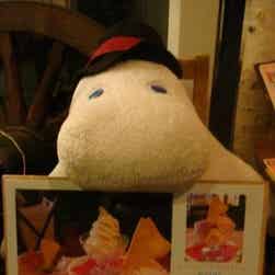 トリップアドバイザー提供