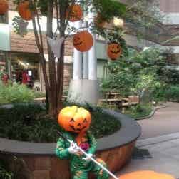 トリップアドバイザー提供