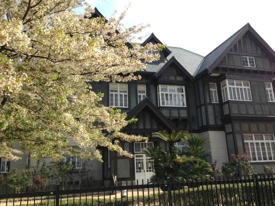 トリップアドバイザー提供