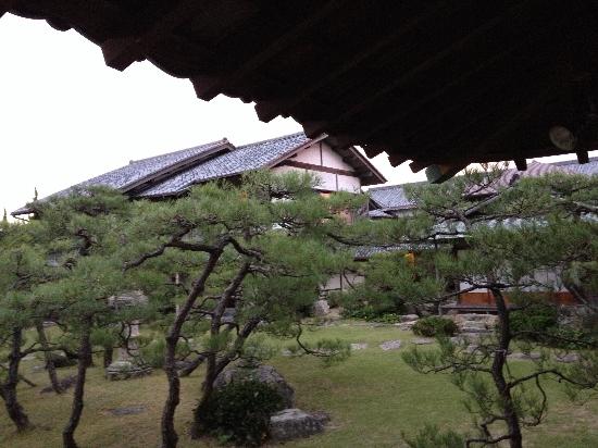 トリップアドバイザー提供