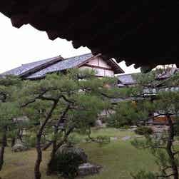 トリップアドバイザー提供