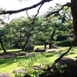 トリップアドバイザー提供