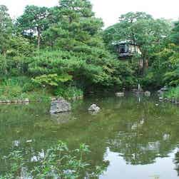 トリップアドバイザー提供