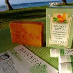 トリップアドバイザー提供