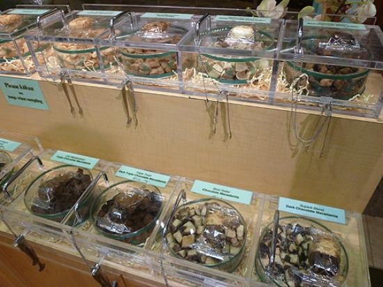 トリップアドバイザー提供