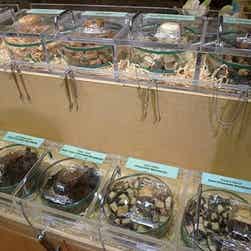 トリップアドバイザー提供