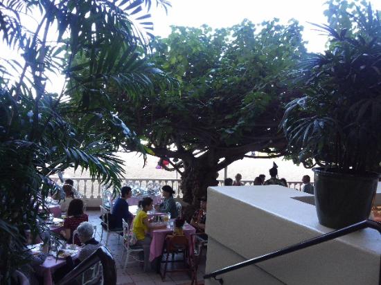 トリップアドバイザー提供