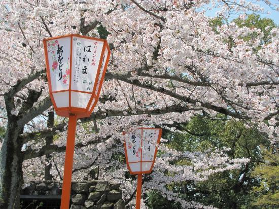 トリップアドバイザー提供