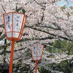 トリップアドバイザー提供