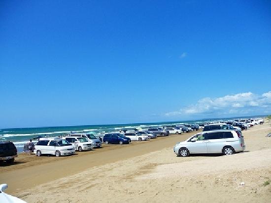 トリップアドバイザー提供