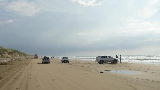 トリップアドバイザー提供