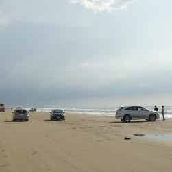 トリップアドバイザー提供