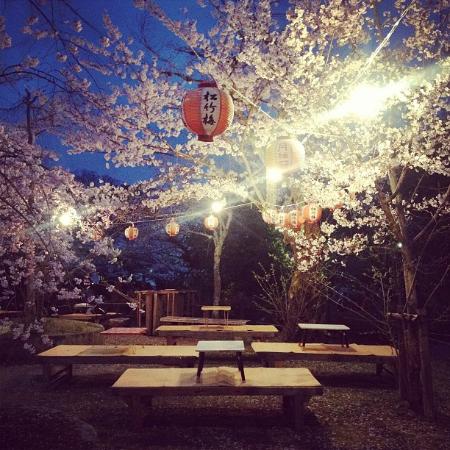 トリップアドバイザー提供