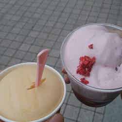 トリップアドバイザー提供