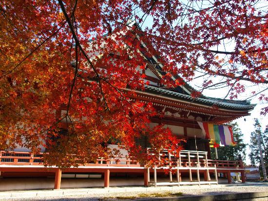 トリップアドバイザー提供