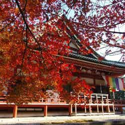 トリップアドバイザー提供