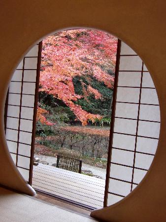 トリップアドバイザー提供